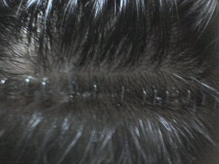 사진100213_12.jpg