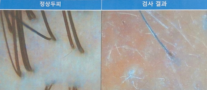 KakaoTalk_20200510_012619516.jpg