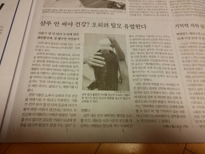 노푸.jpg