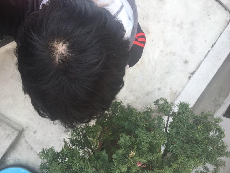 d.jpg