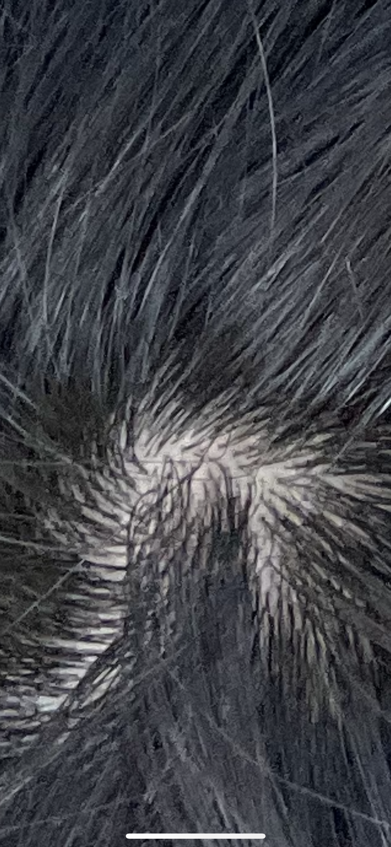 23C5189C-999F-4086-8CC5-D5DE4A5BA95F.png