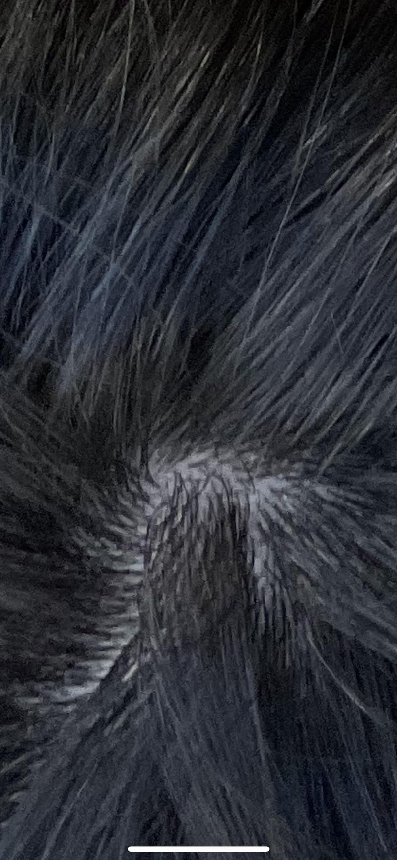 4B729EFE-D80D-42E3-BA2D-869FCD7C701D.png