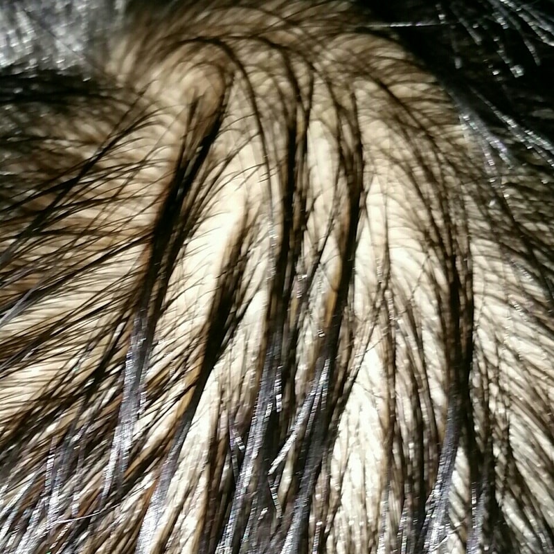 20150228_014726-1-1-1-1.jpg