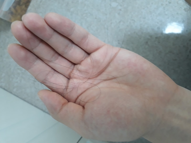 20190621_093838.jpg