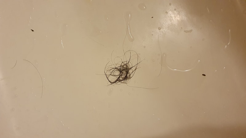 20201108_113916.jpg