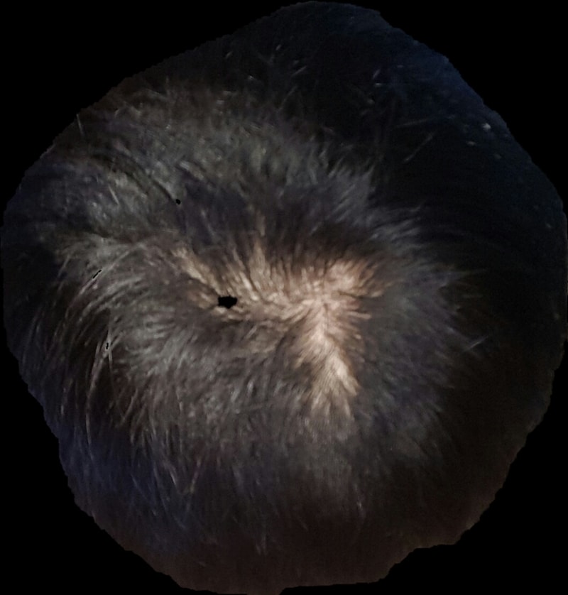 20160713_082243.png