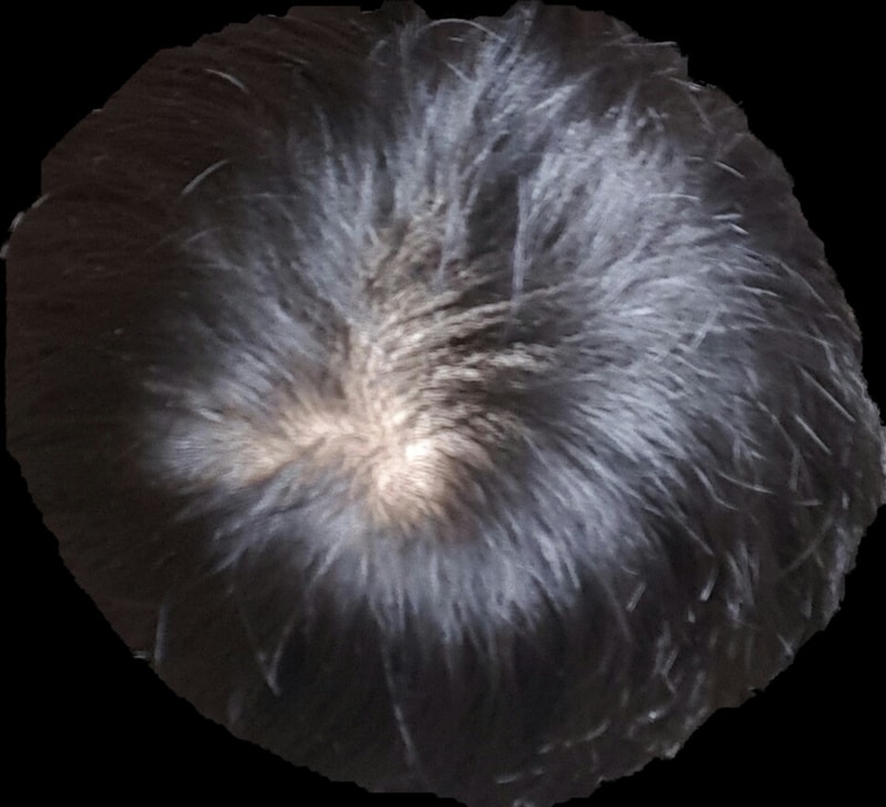 20160713_082147.png