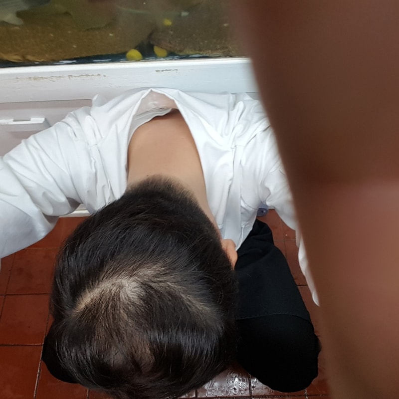 20170331_171416.jpg