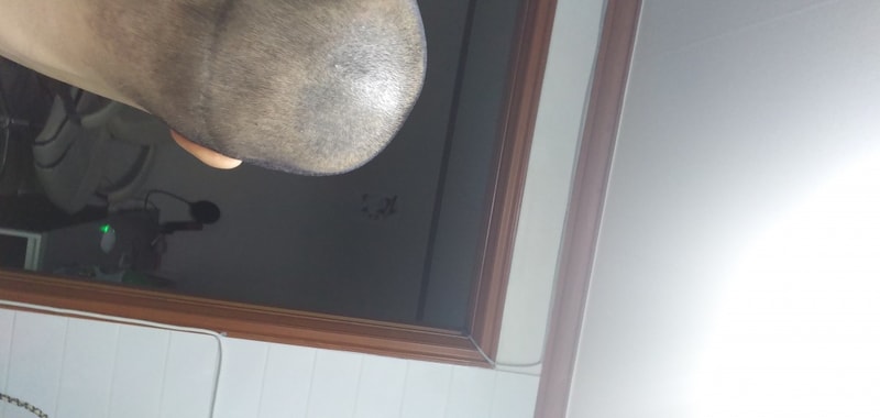 20190519_112517.jpg