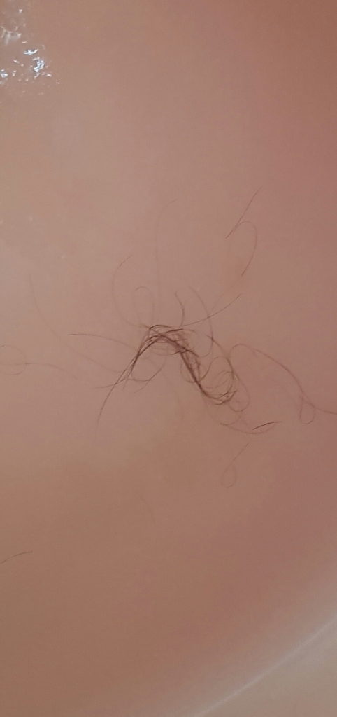 20160821_134931.jpg