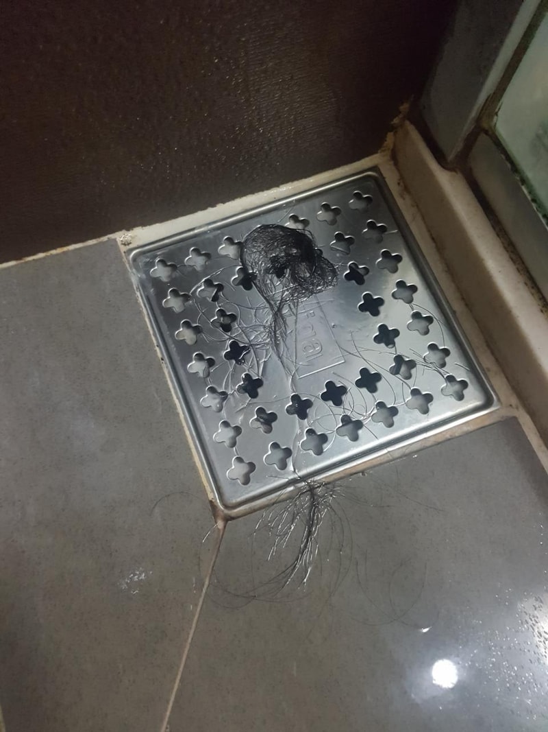 Resized_20190925_160214_9459.jpeg