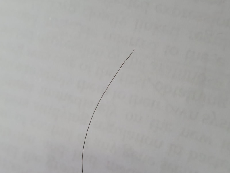 20190526_004827.jpg