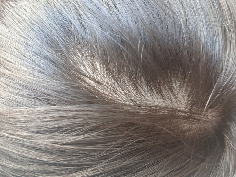 20180803_091024.jpg