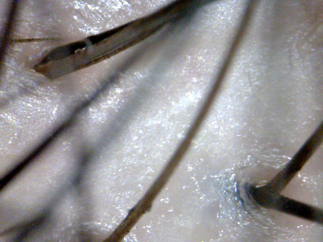 20100413_135031.bmp