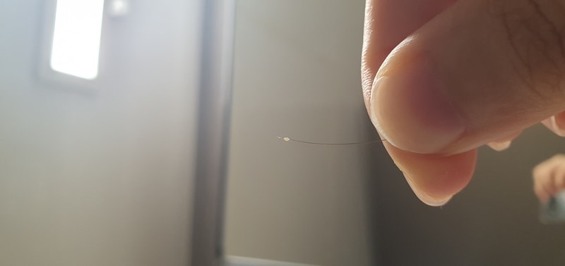20240908_074421.jpg