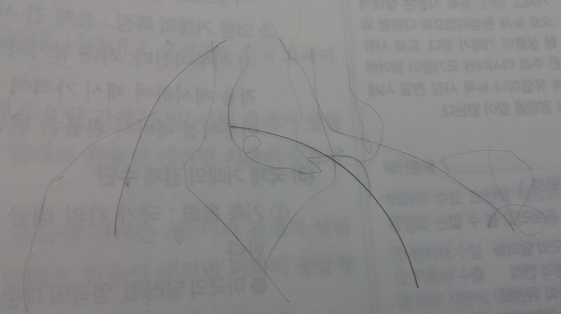 20140322_231106.jpg