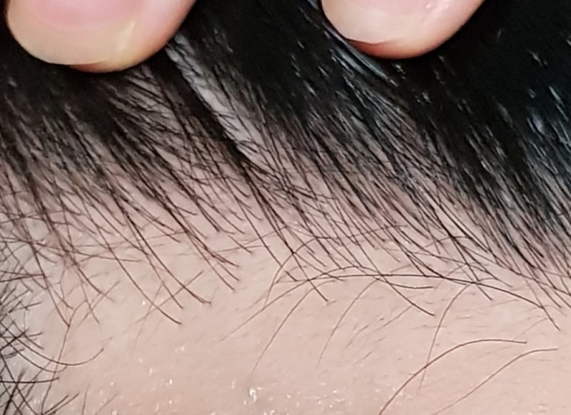 20190424_082959.jpg