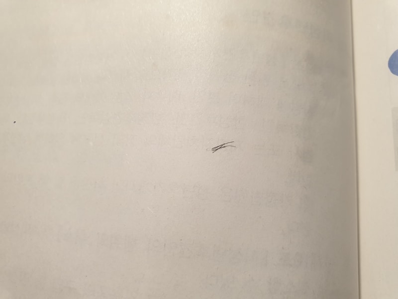20220204_040354.jpg