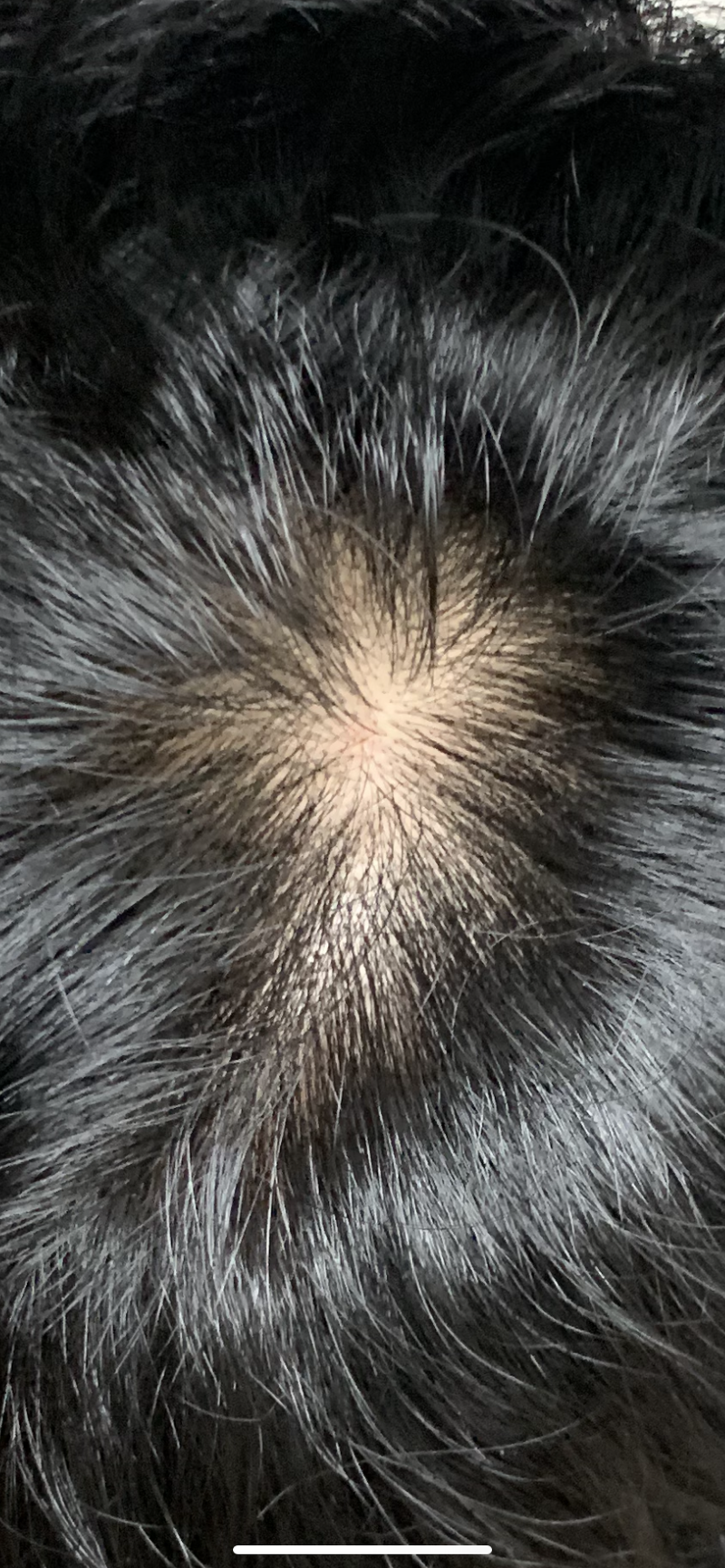E3B86ADC-2733-4F1A-A078-8426AA203435.png