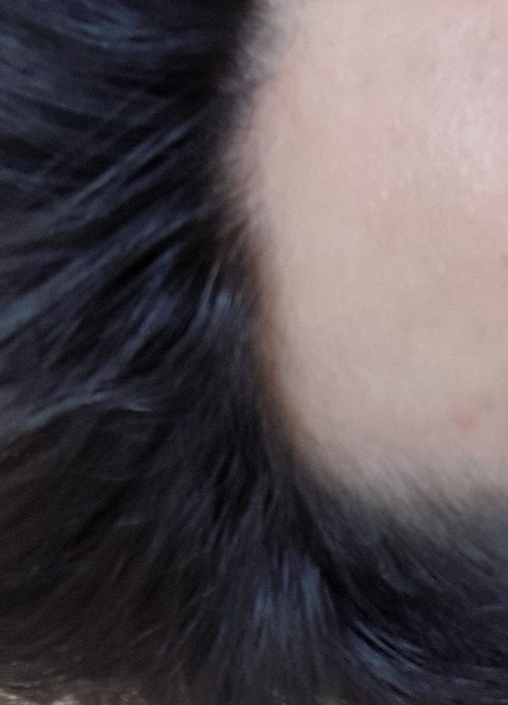 20190216_134202.jpg