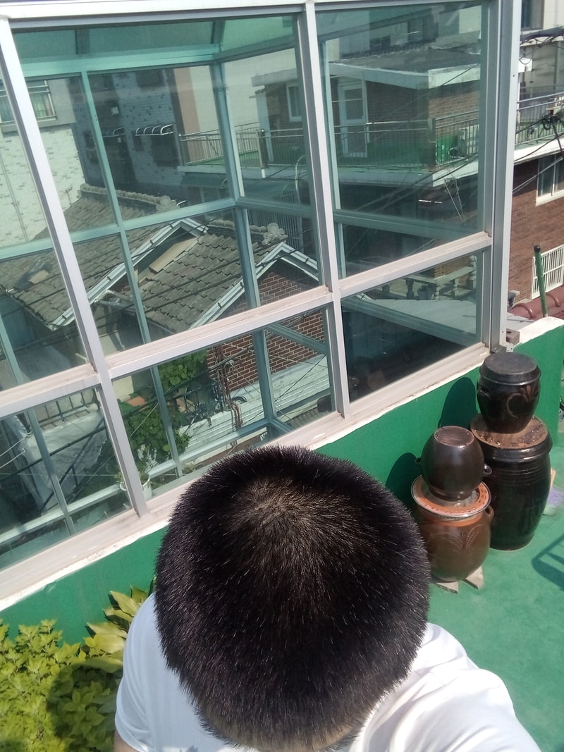 IMG_20200530_153526.jpg