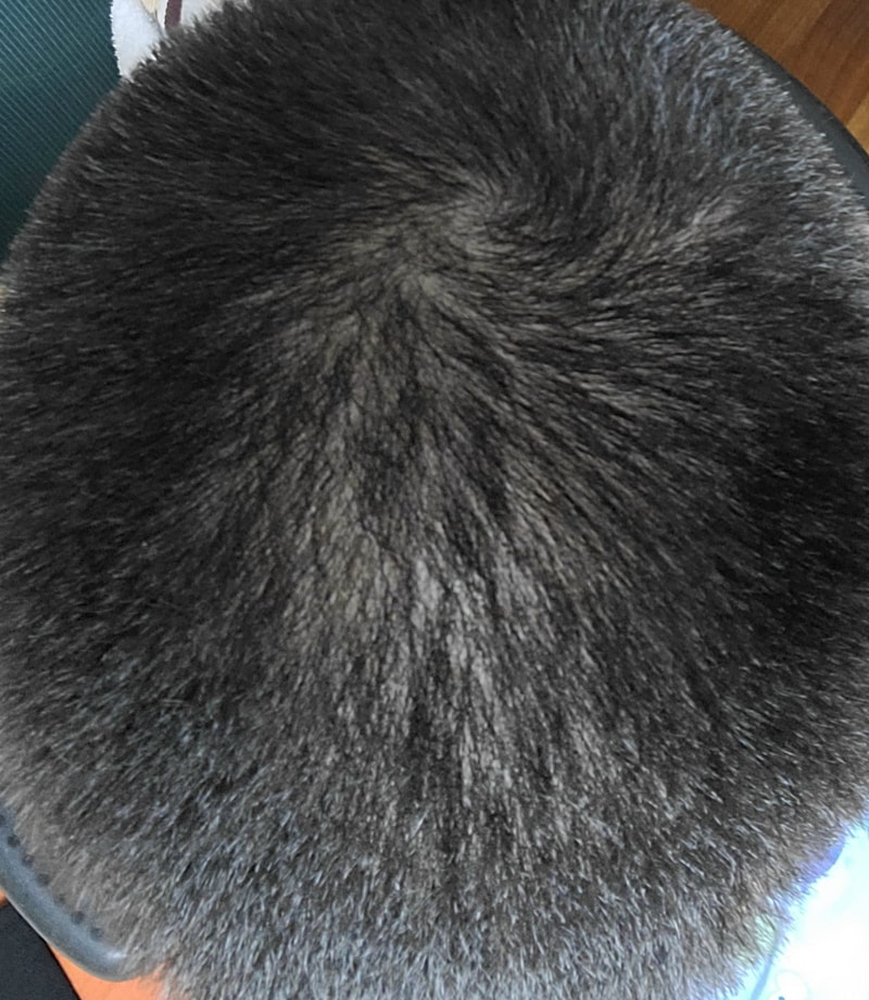 20201230_235549.jpg