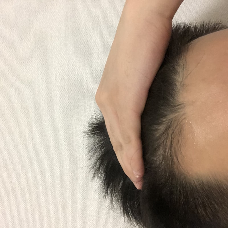 DD8018DC-ED4C-4A4F-AE9B-332D2F6EE4F0.jpeg
