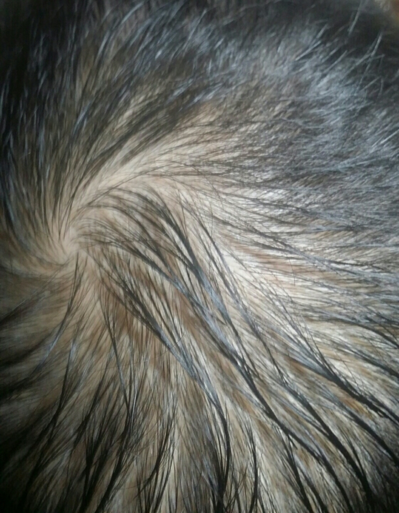 KakaoTalk_20180331_144358263.jpg