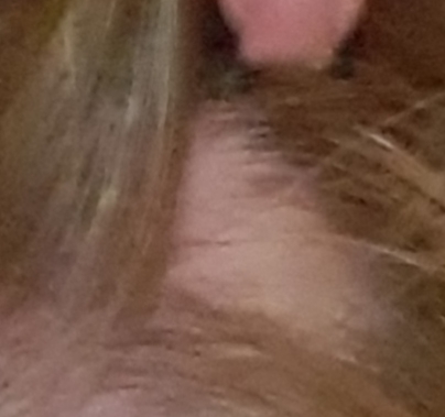 20180928_001411.jpg