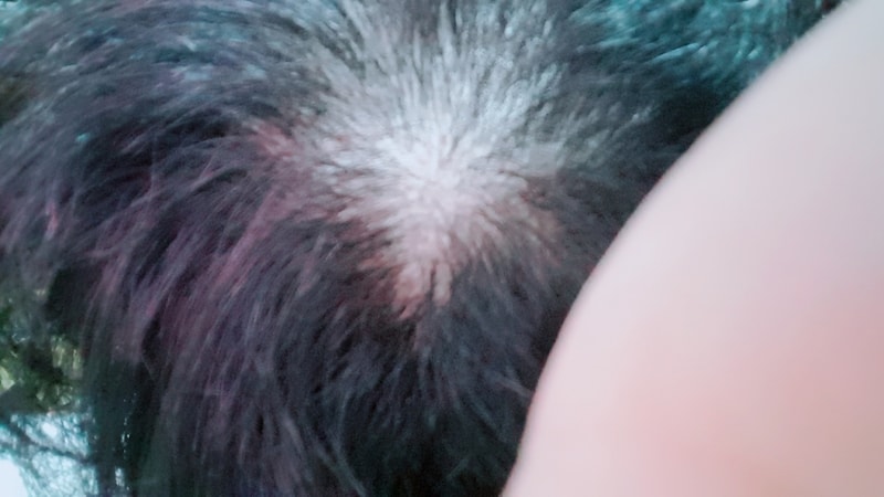 B612_20170717_174857.jpg