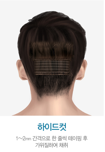 제목 없음.png