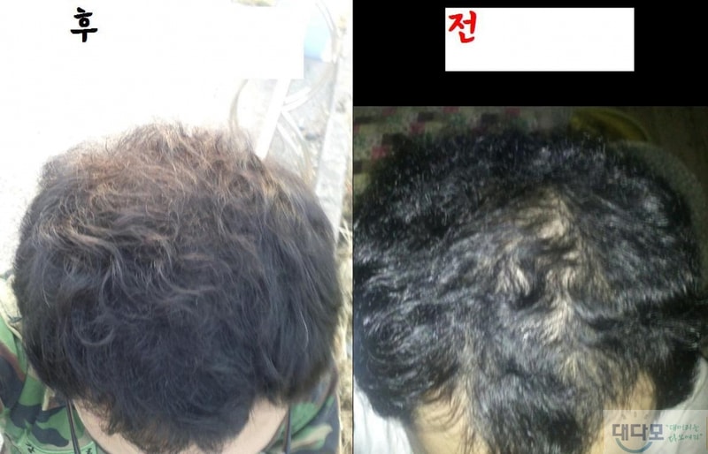제목 없음.JPG
