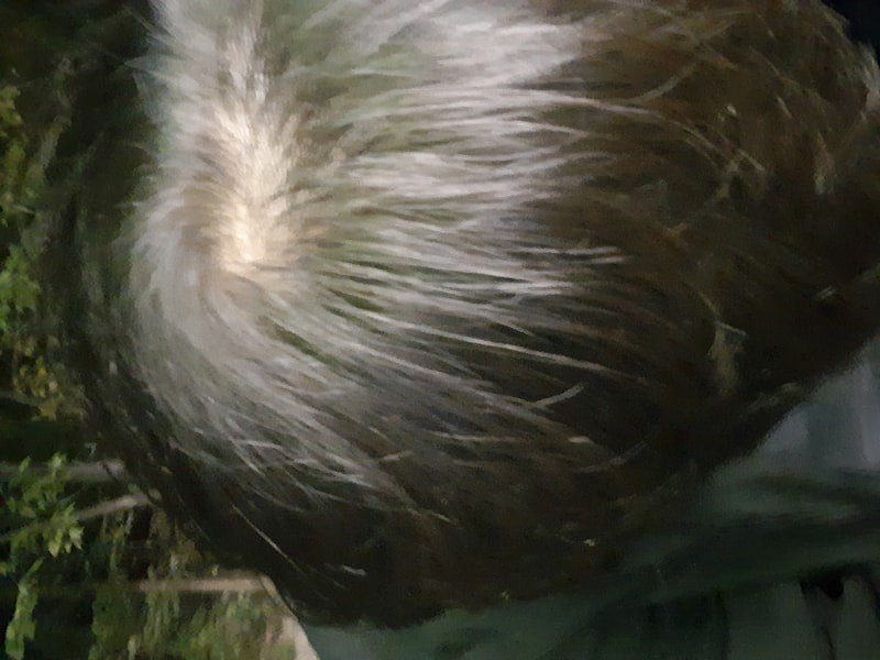 20201020_193622.jpg