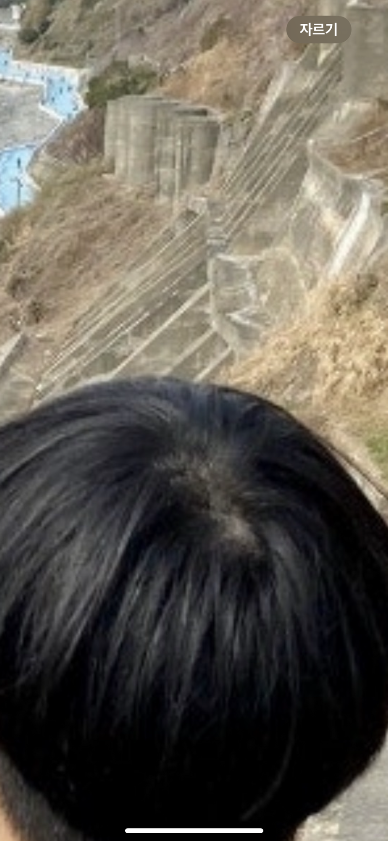 IMG_1066.png