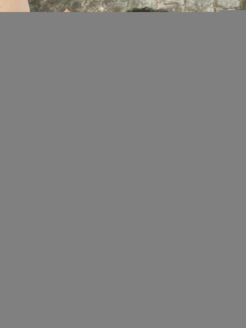 IMG_6855.jpeg