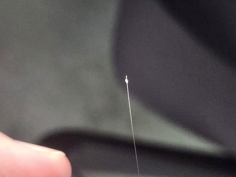 20240903_124115.jpg