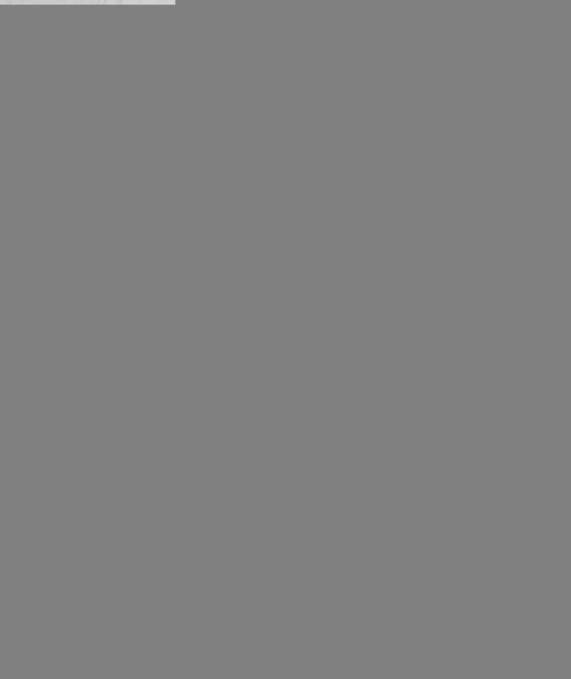 IMG_4056.jpeg
