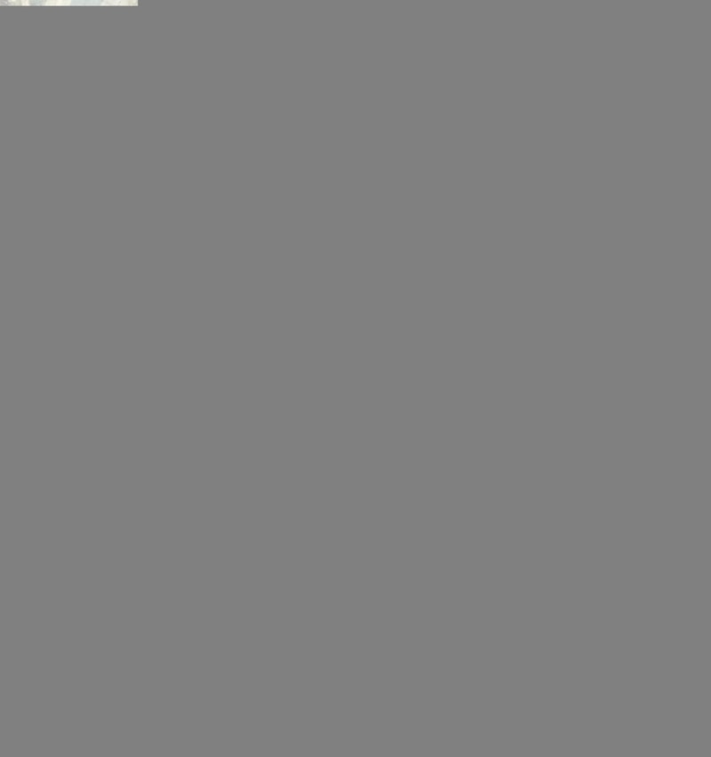 IMG_4060.jpeg