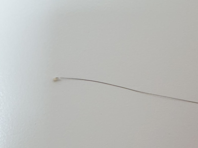 20200511_203002.jpg