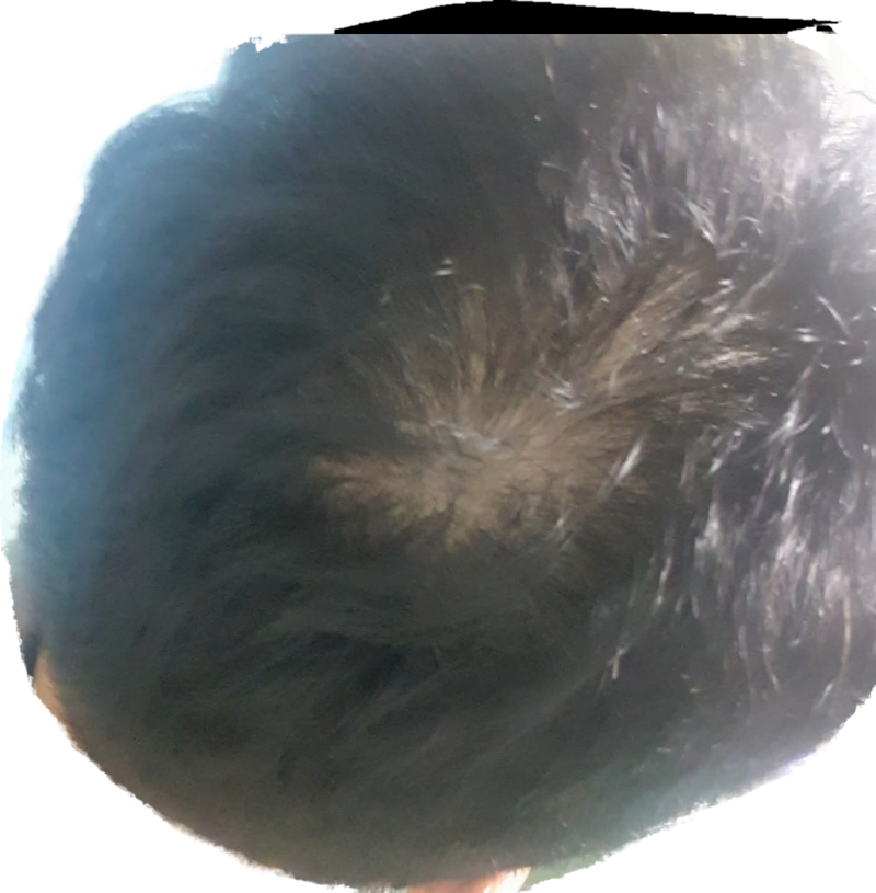 1625481072452-0.png
