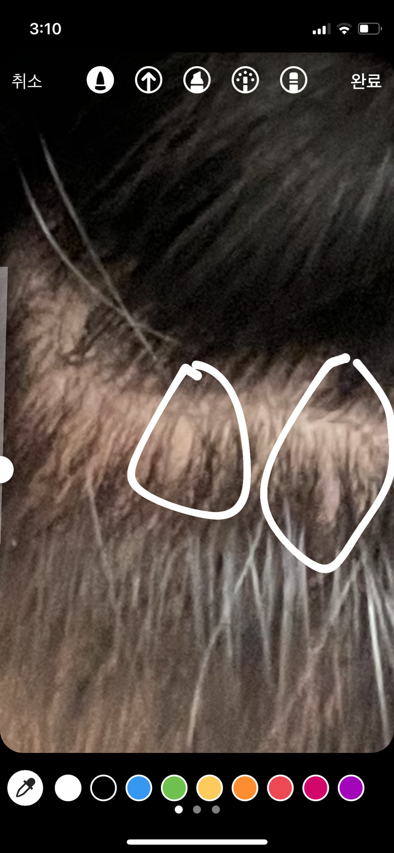 5A5EA8A5-26F3-4EB3-BED1-12F4688E4111.png
