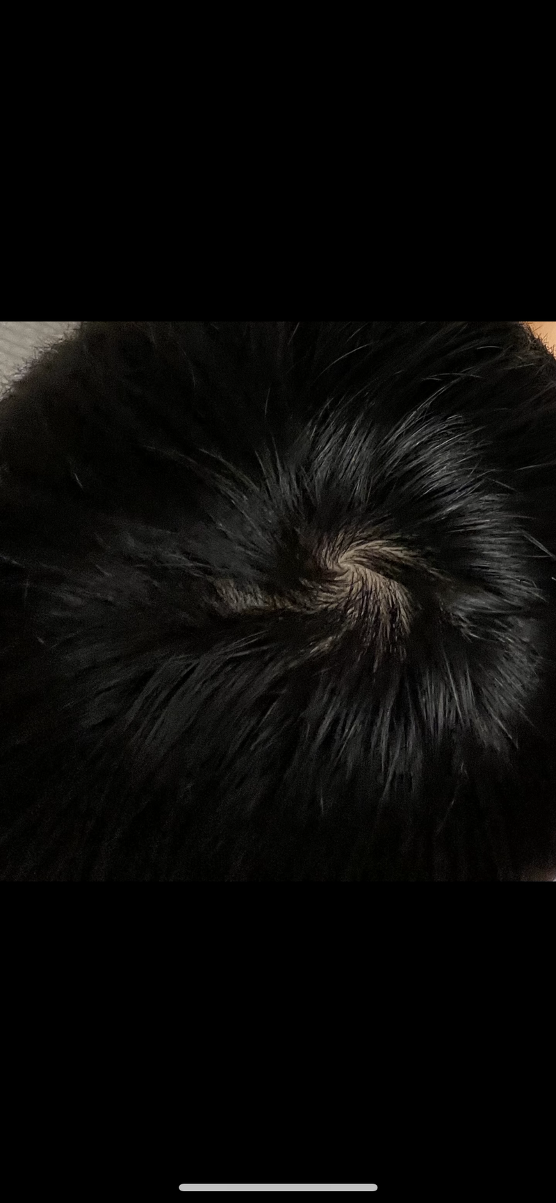 3C1DE54C-44DF-481C-BD20-0C6AE684158E.png