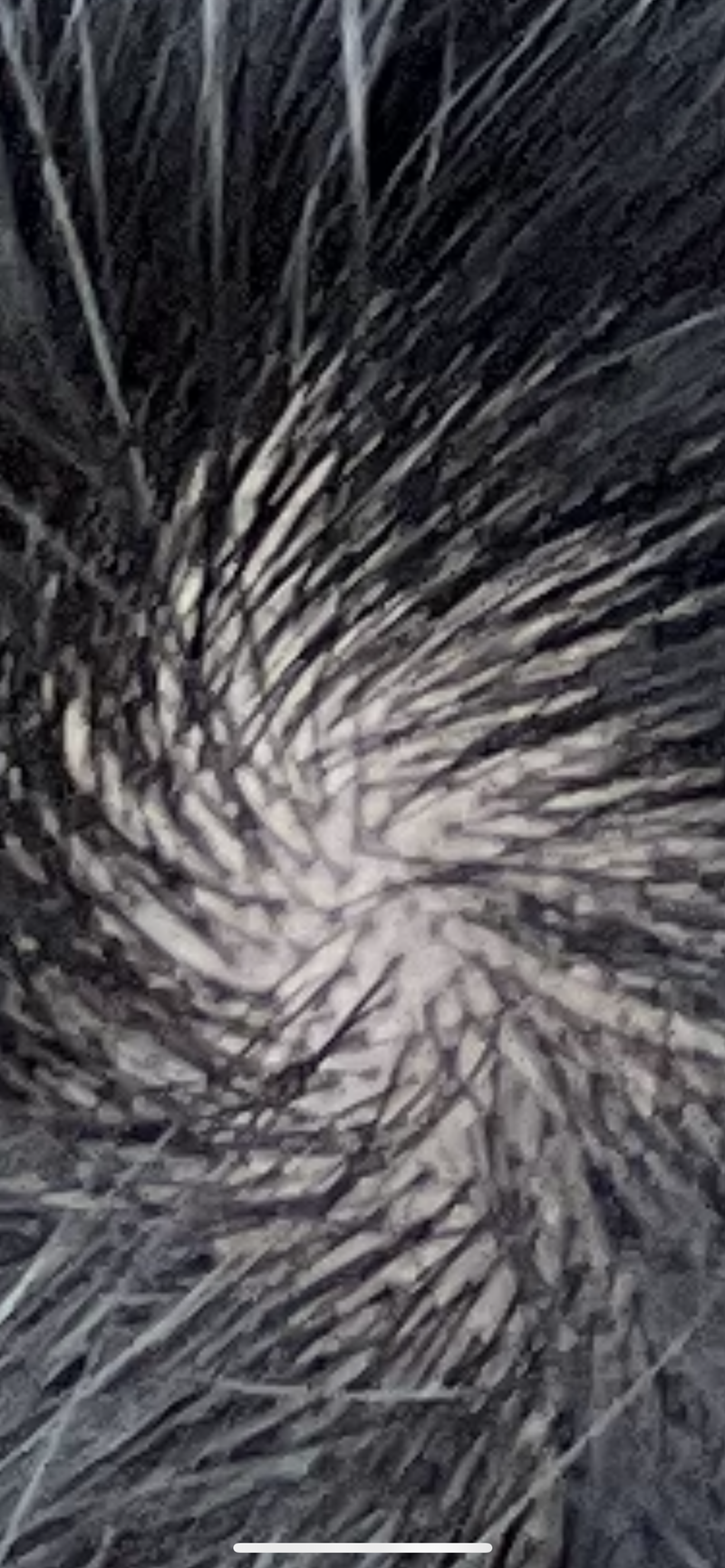 FADB36DA-831B-4081-8E19-1DB491205C05.png