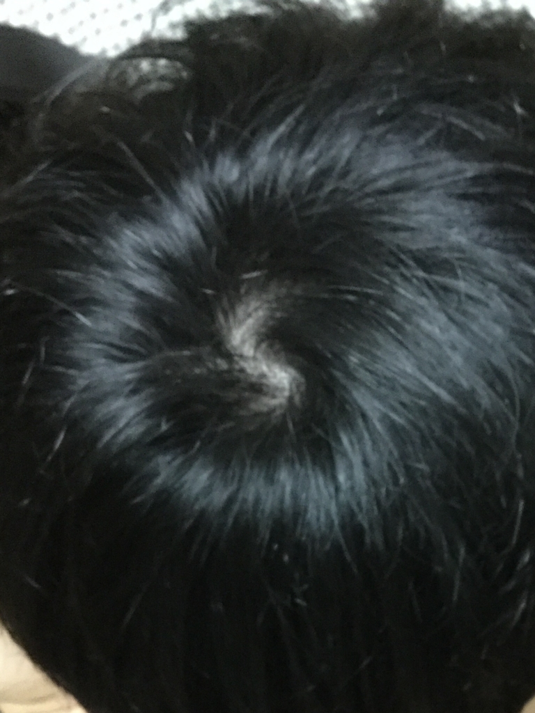 C2C4F423-13ED-4687-8E11-B26BE5DA167E.png