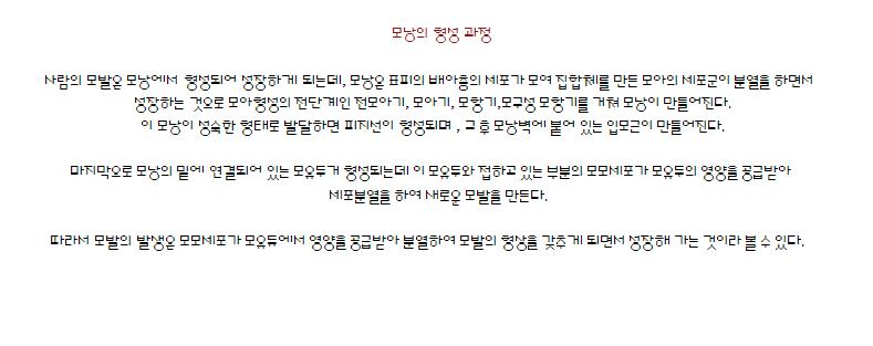 형성과정2.JPG