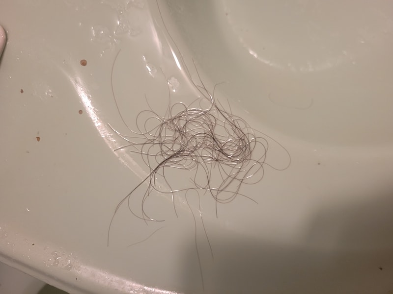20220911_234135.jpg