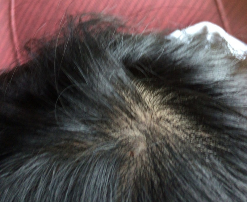 KakaoTalk_20160901_083330950.jpg