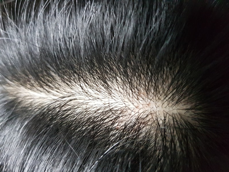 20191202_005510.jpg
