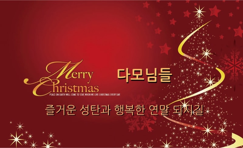 다모님들 메리크리스마스.gif