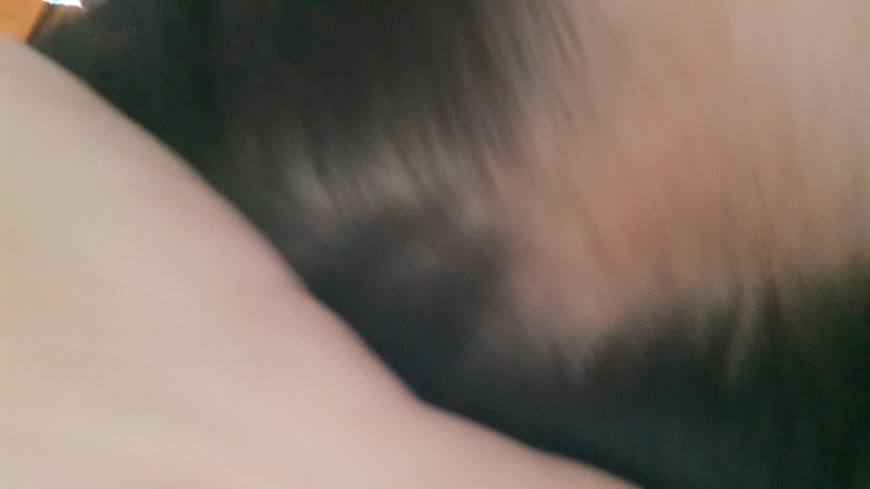 20160605_141405.jpg